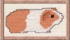 guinea pig cross stitch